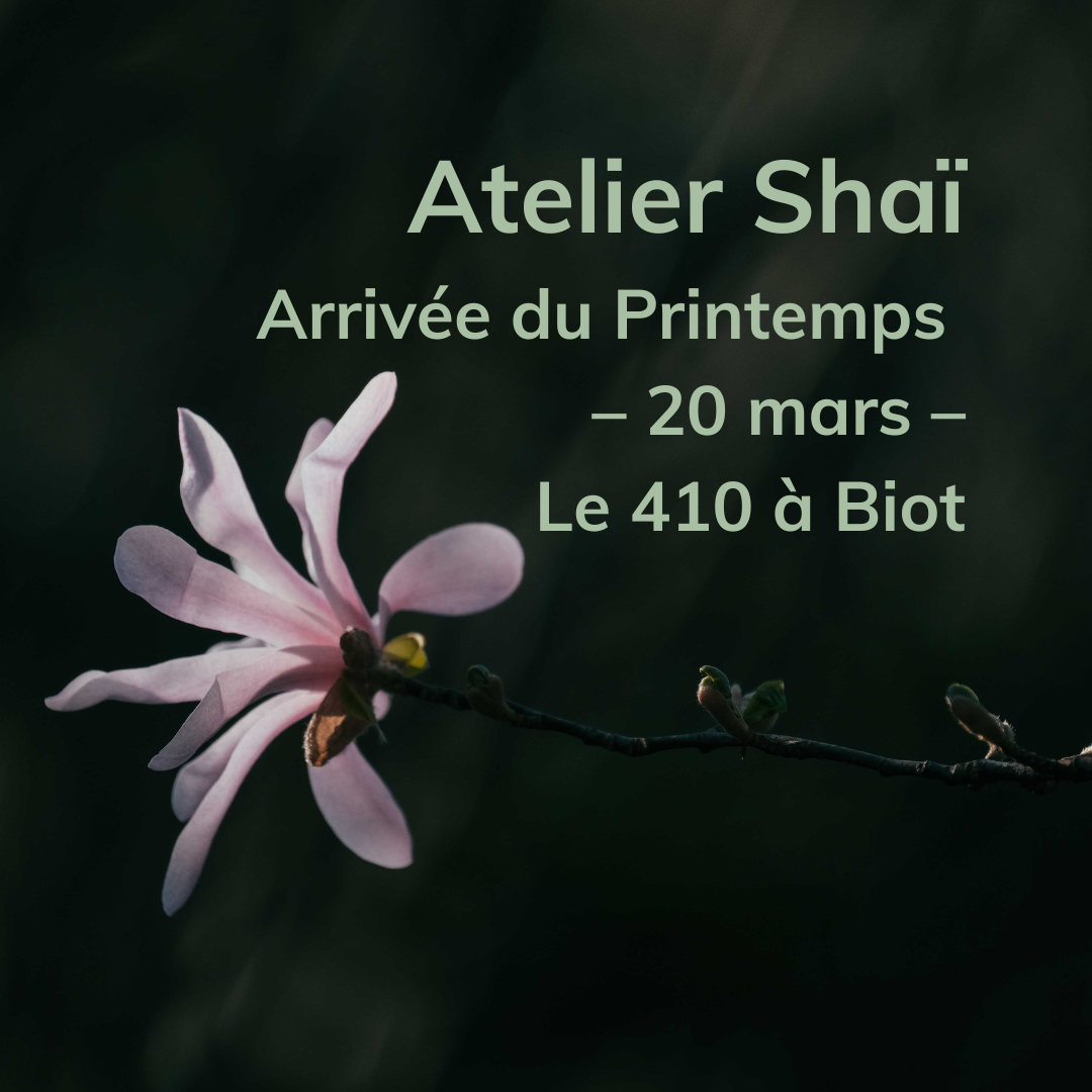 Atelier Shai Harmony